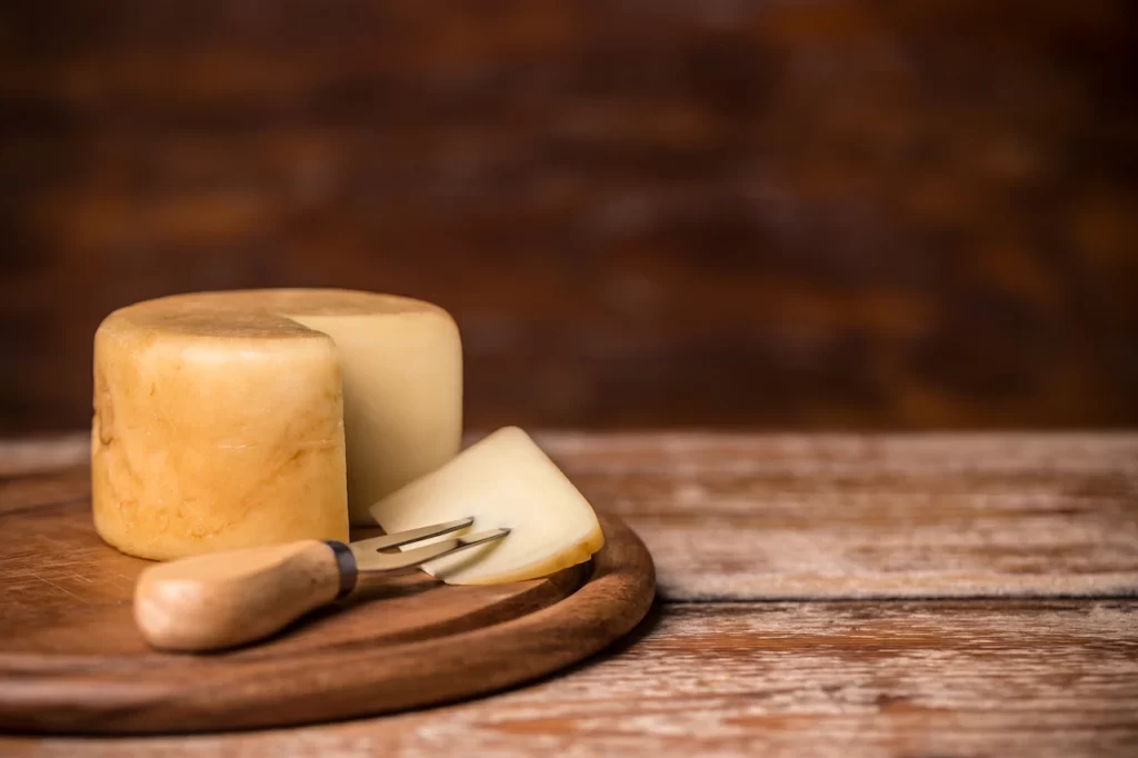 gastronomia-francia-queso-cantal_converted