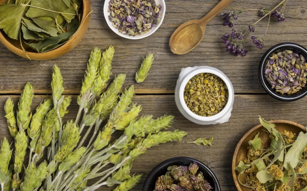 gastronomia-grecia-hierbas-aromaticas