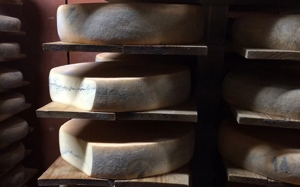 gastronomia-francia-queso-morbier